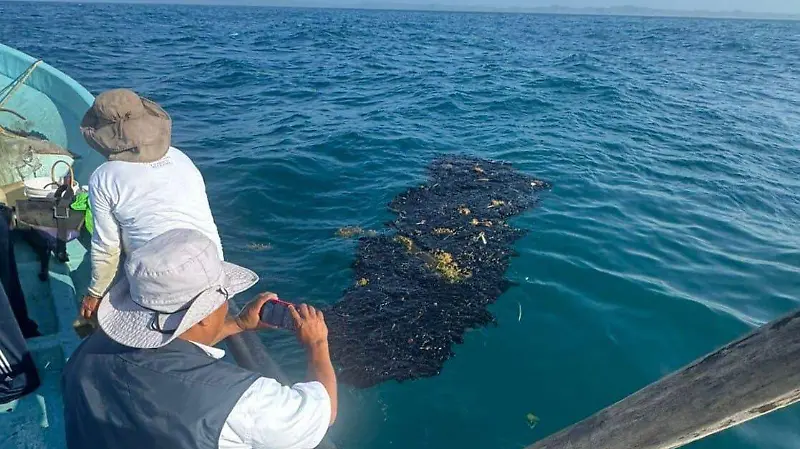 Chapapote en costa de Alvarado
